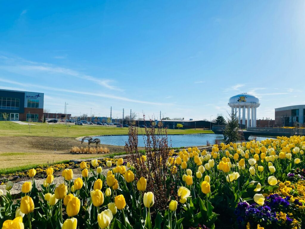 Yellow tulips by water tower at Wichita State University college campus in spring