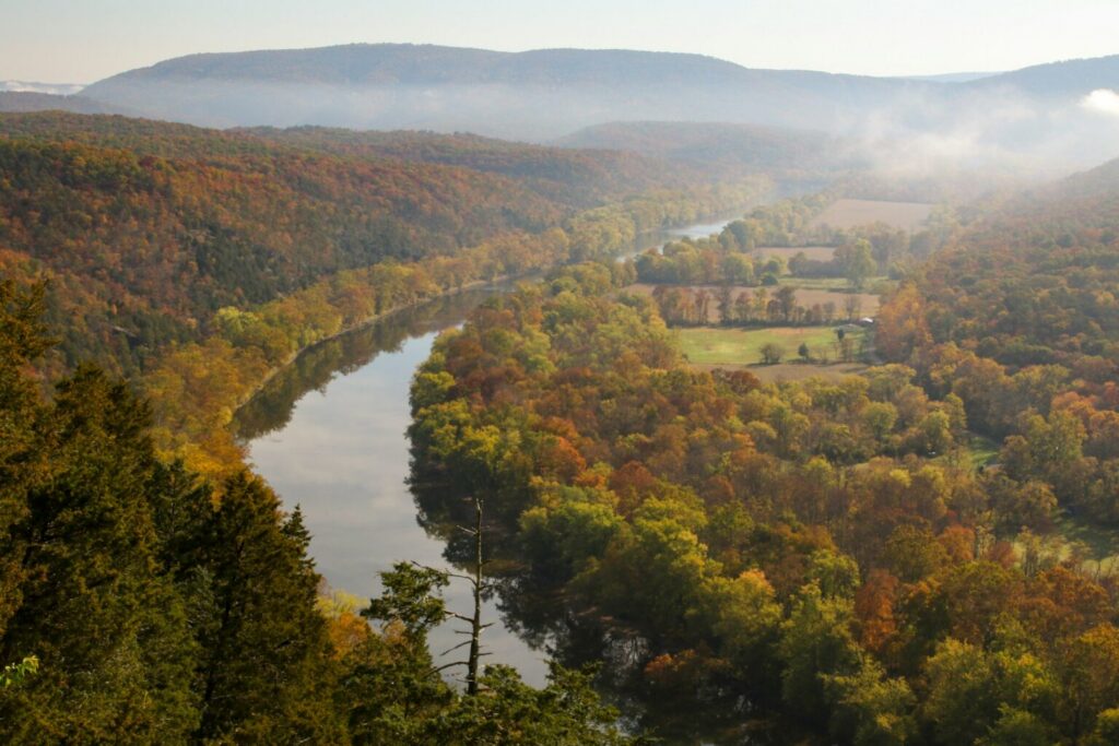 A river running through a lush green forest.
