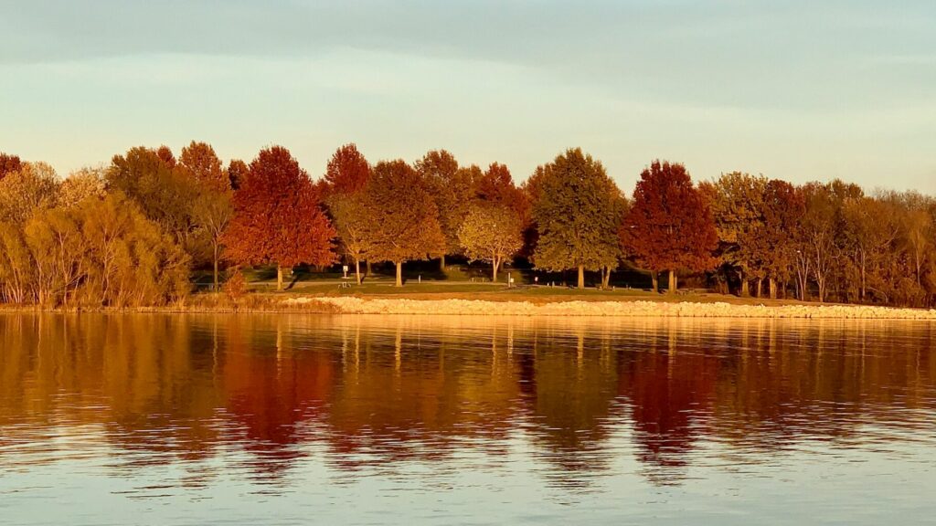 Body of water surrounded by trees.