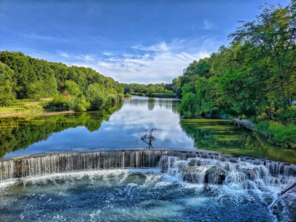 Body of water near trees.