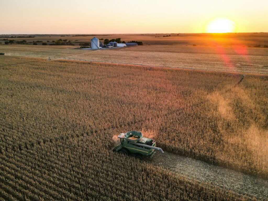 Field photographed during sunset in Hamilton County, Nebraska.