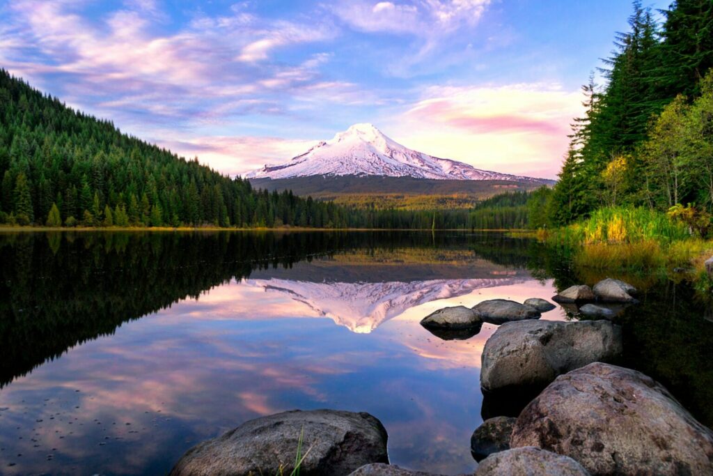 Lake surrounded by pine trees near snow covered mountain